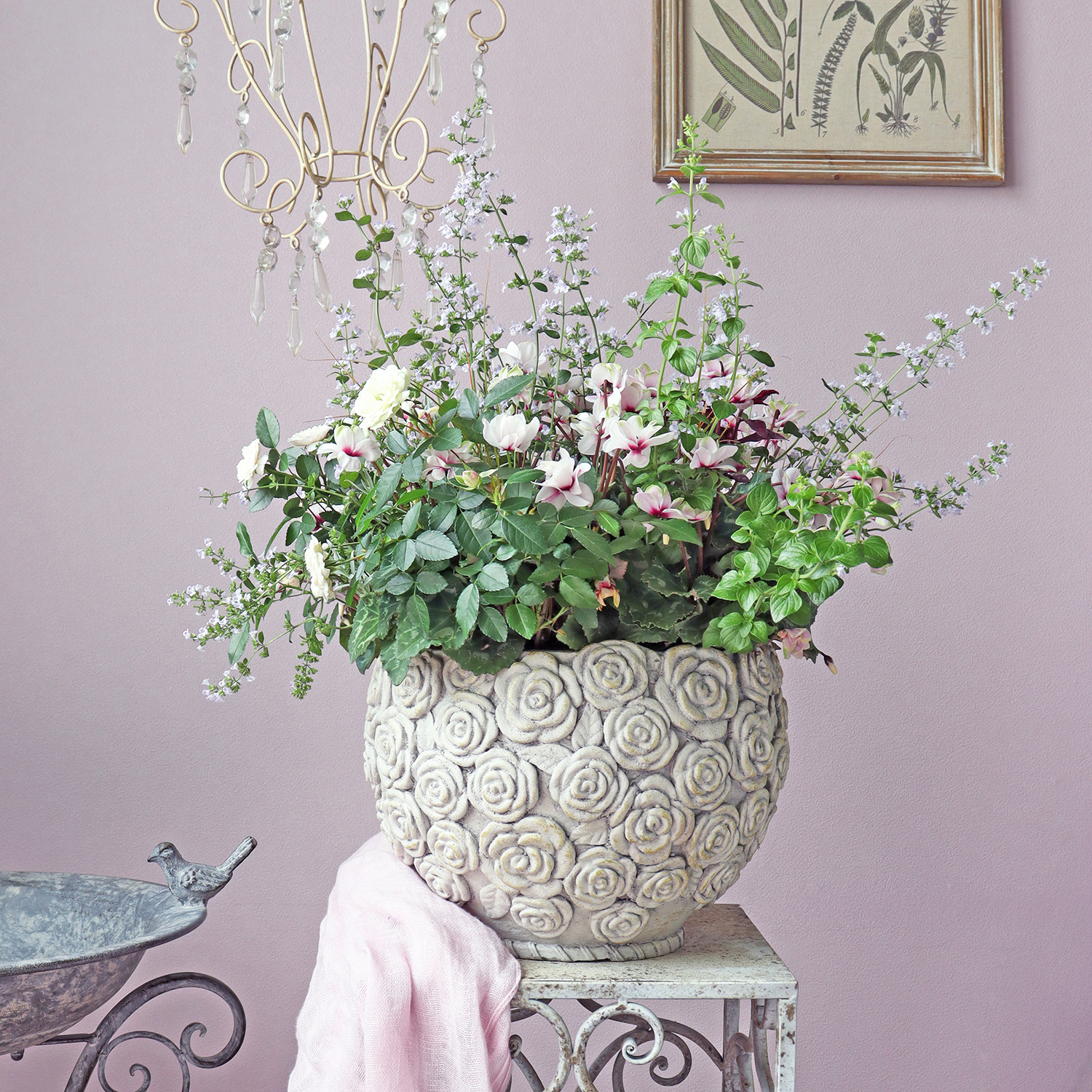 スライダー画像