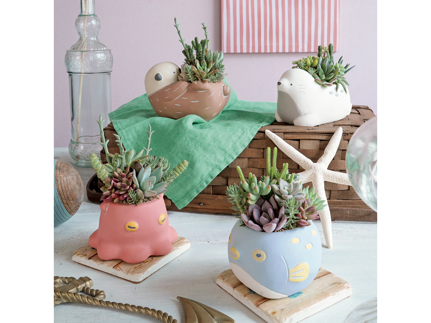 新作入荷　CP品番プランタンシリーズ