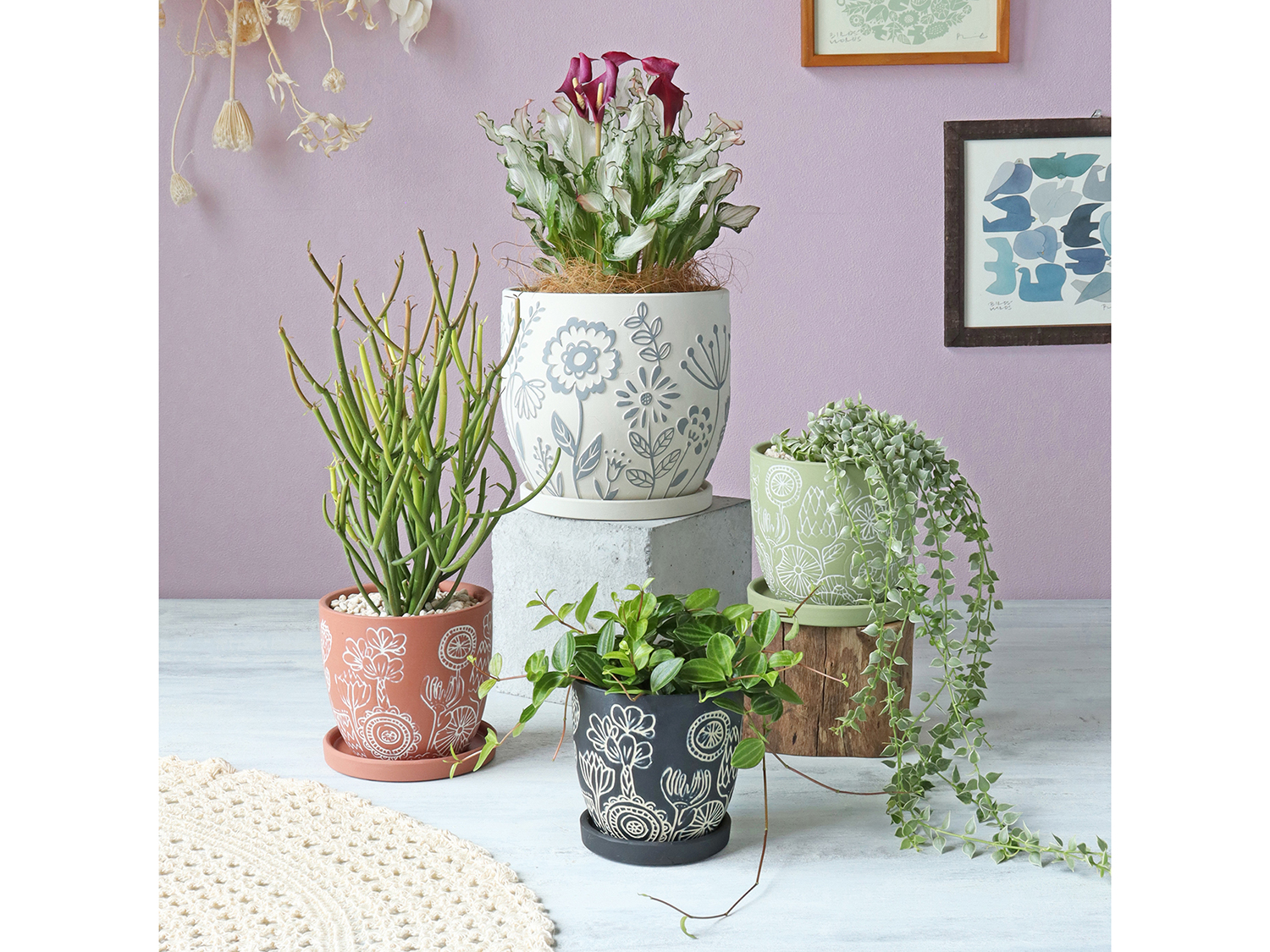 新作入荷　CP品番フロリアーヌシリーズ