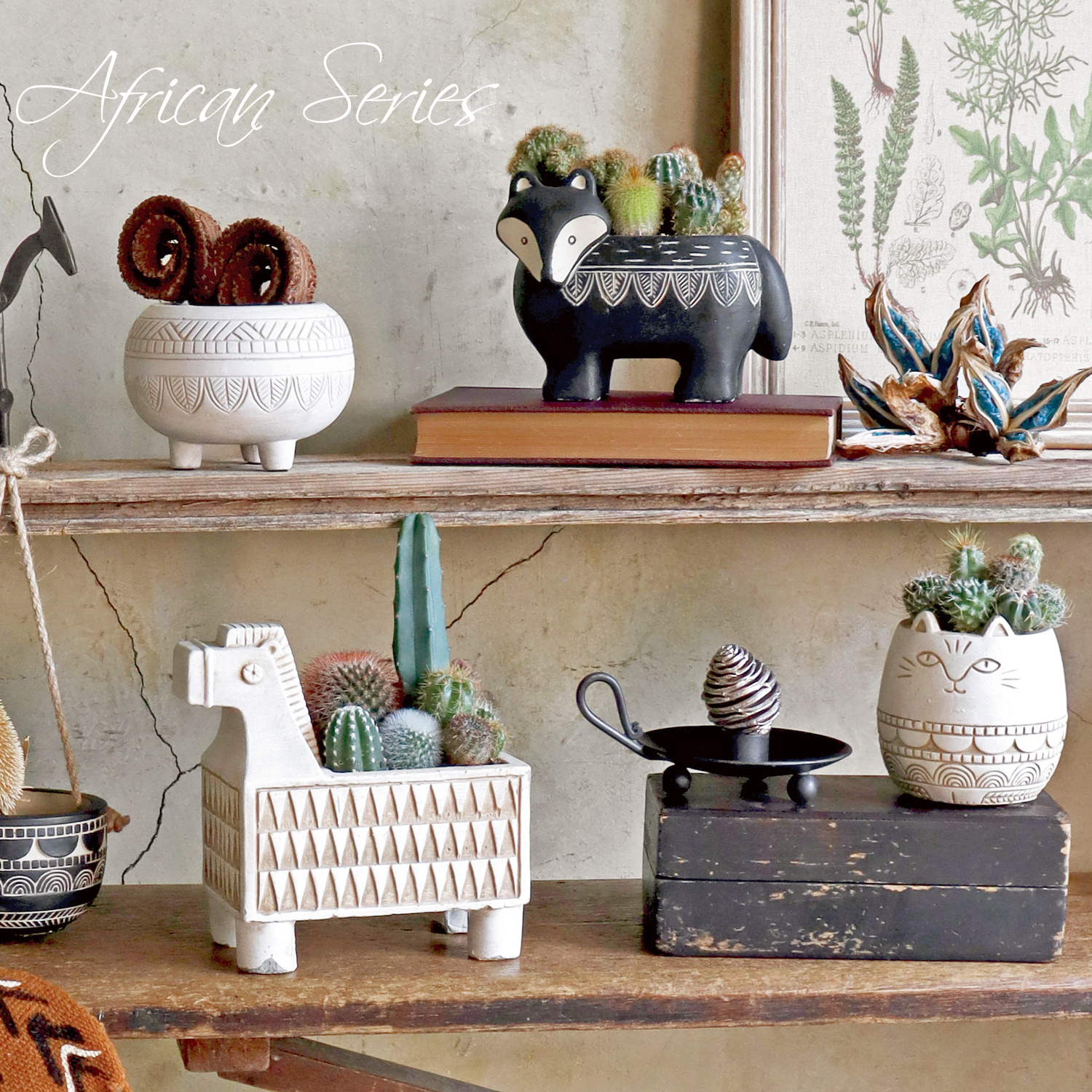 新作入荷　CP品番アフリカンシリーズ