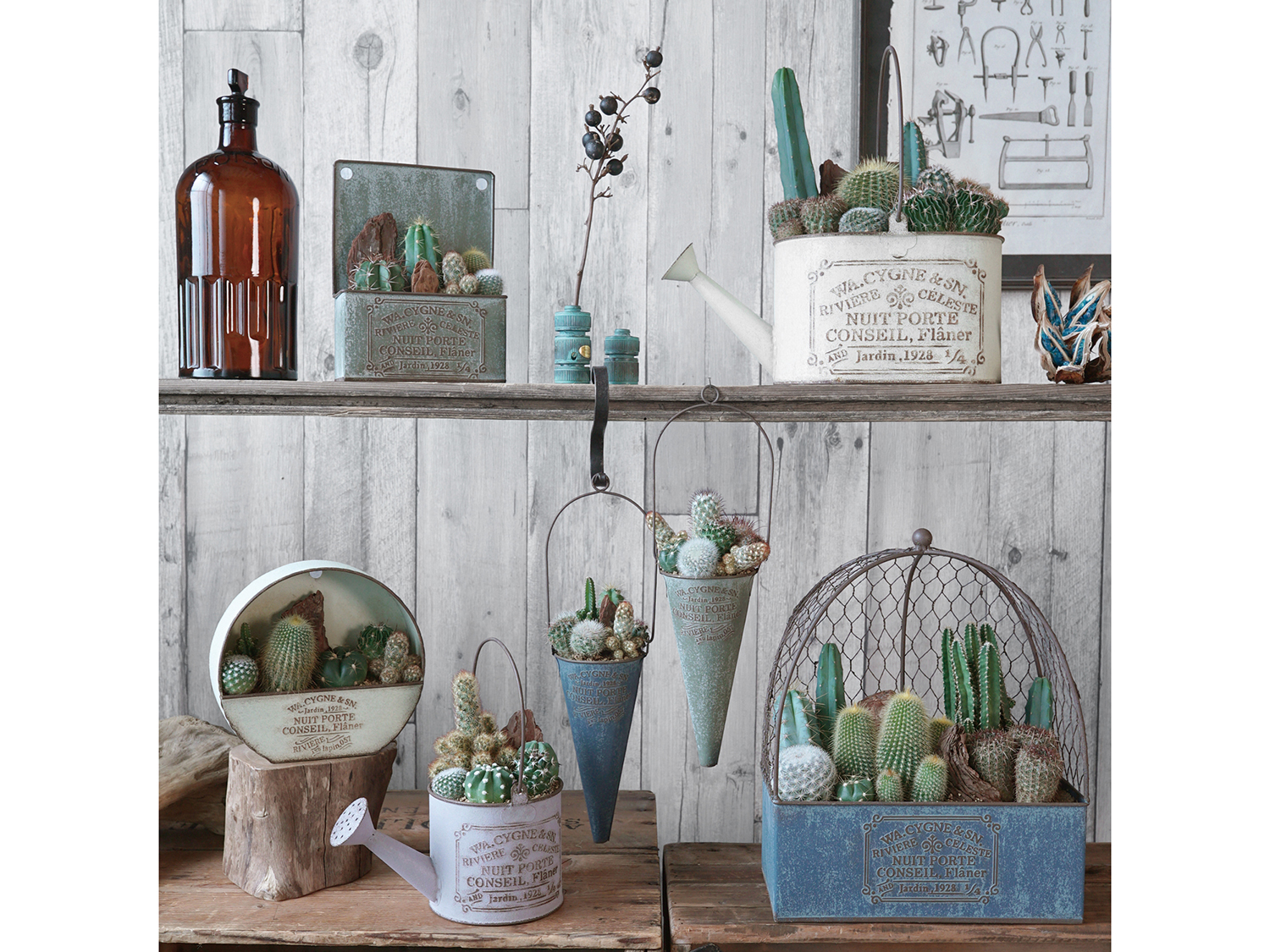 新作入荷　HSNT品番ニュイポルテシリーズ