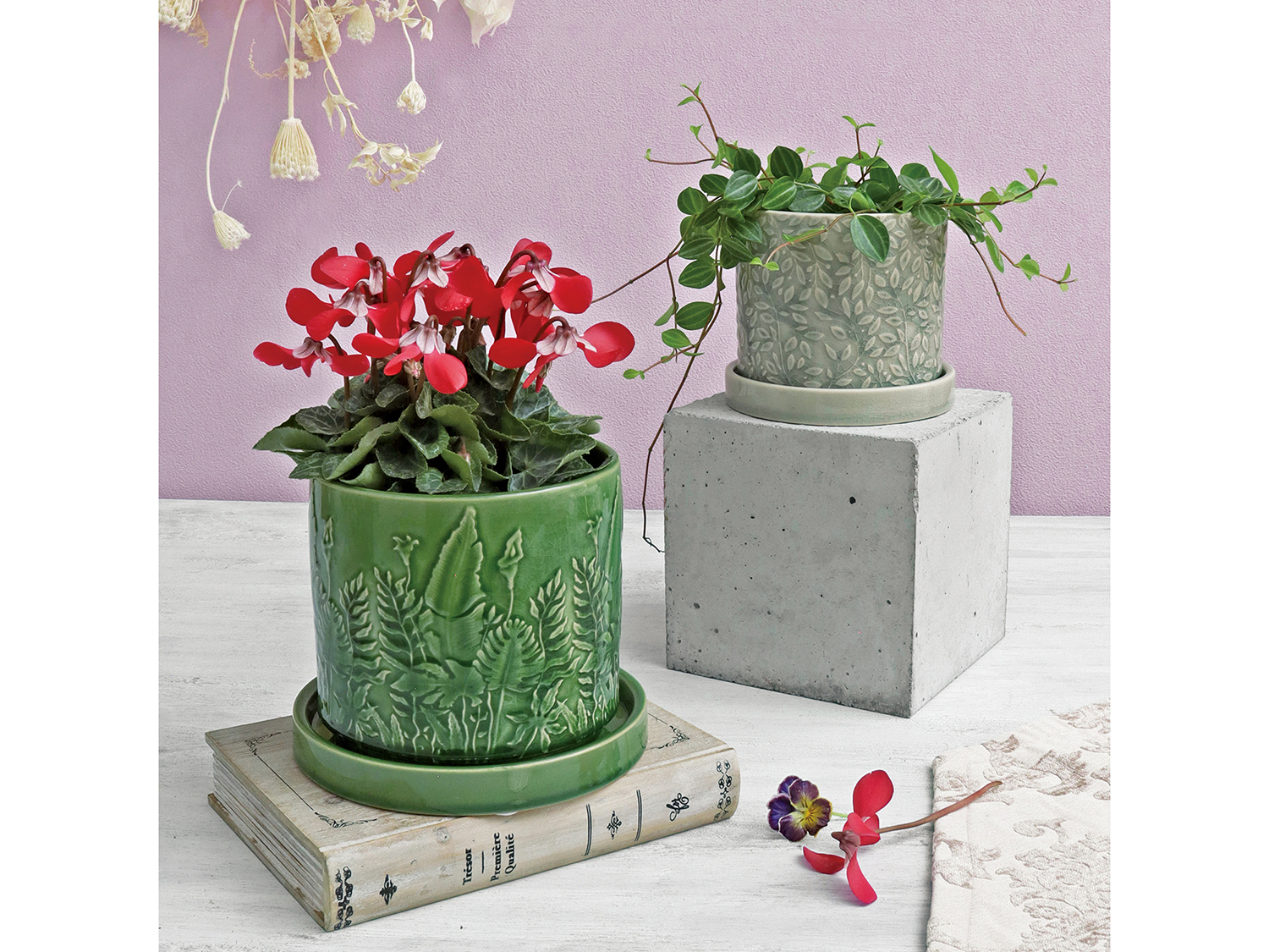 新作入荷　YS品番ラーゴムシリーズ