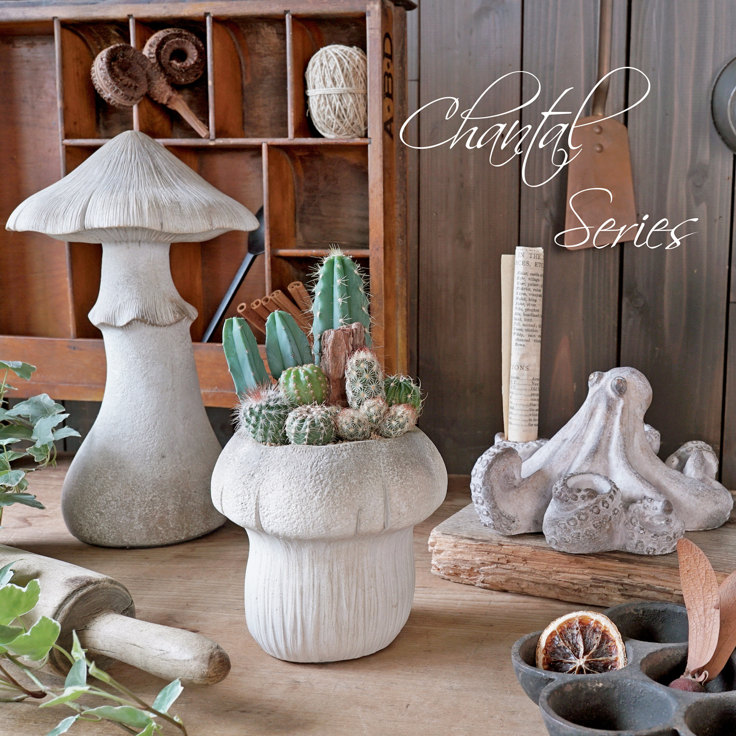 新作入荷　LC品番シャンタルシリーズ