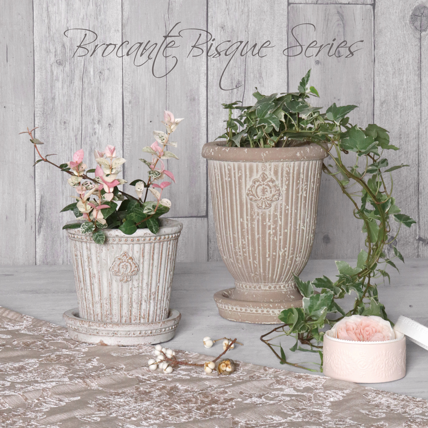 新作入荷 BQ品番ブロカントビスクシリーズ