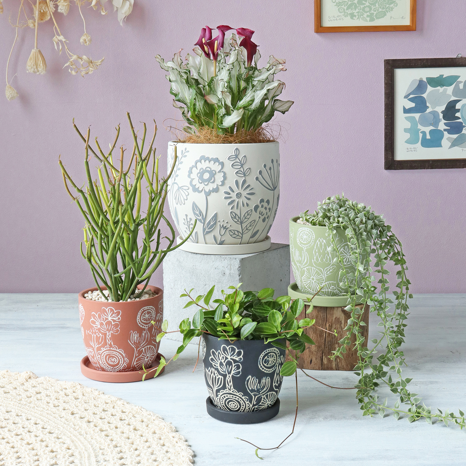 新作入荷　CP品番フロリアーヌシリーズ