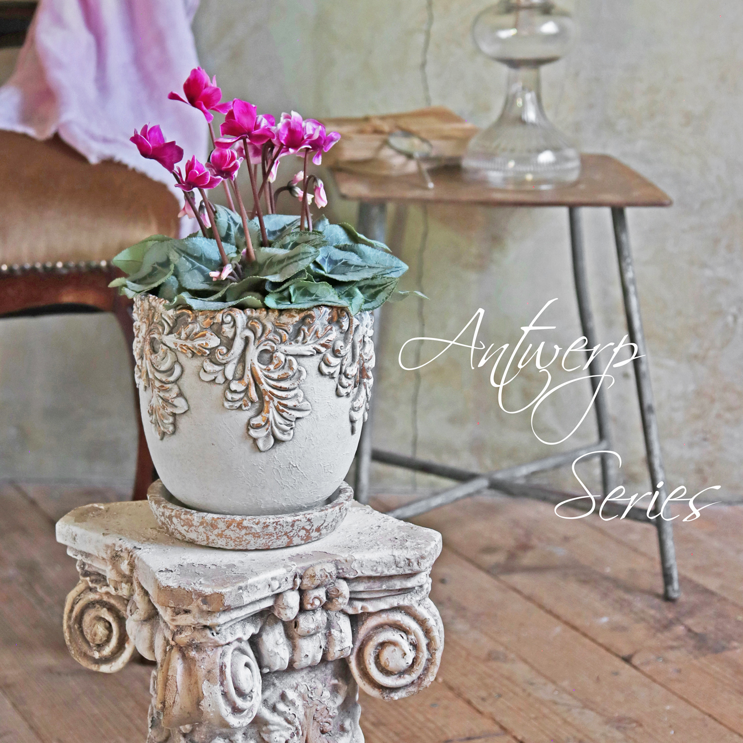 新作入荷　YD品番アントワープシリーズ