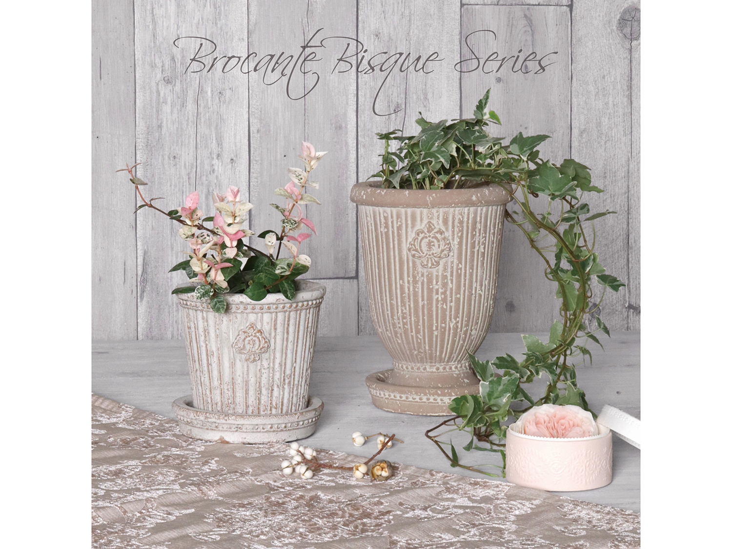 新作入荷　BQ品番ブロカントビスクシリーズ