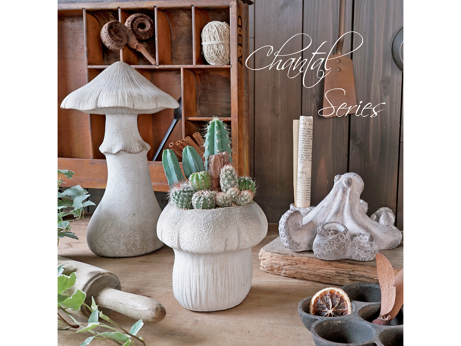 新作入荷　LC品番シャンタルシリーズ