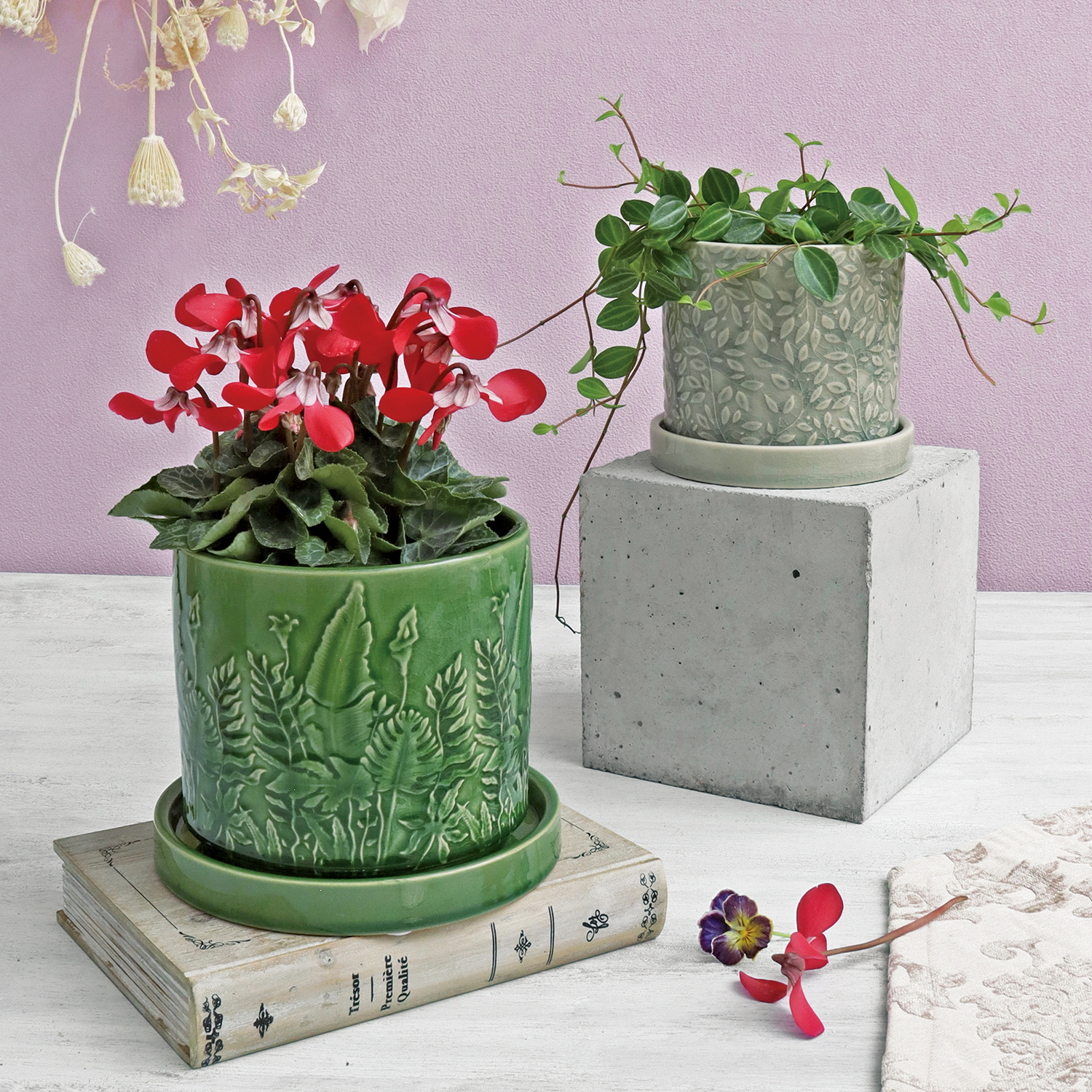 新作入荷　YS品番ラーゴムシリーズ