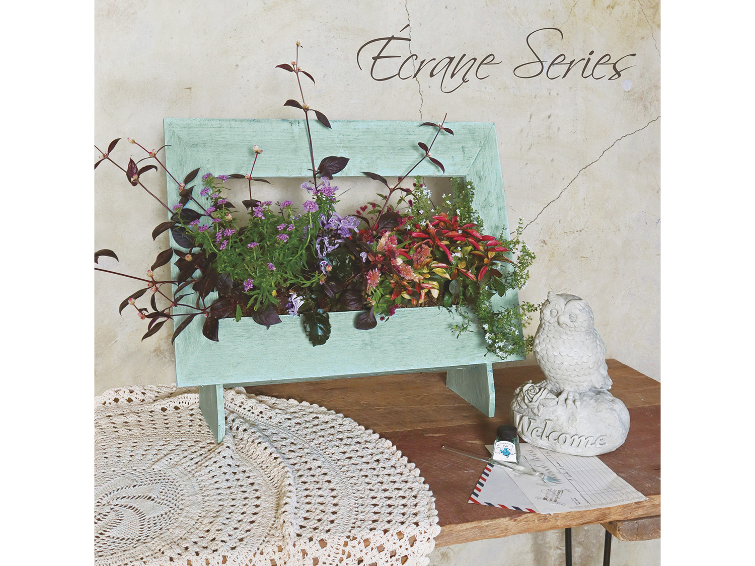 新作入荷　KB品番エクラントシリーズ/ベジタブル...