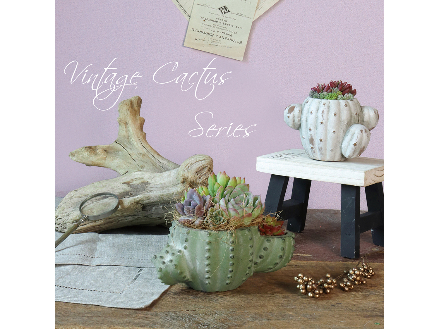 新作入荷　GR品番ヴィンテージカクタスシリーズ