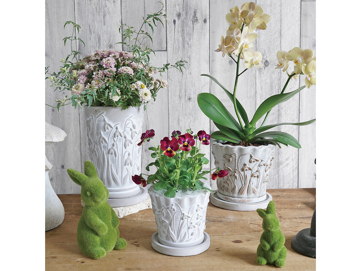 新作入荷　GR品番スノードロップシリーズ