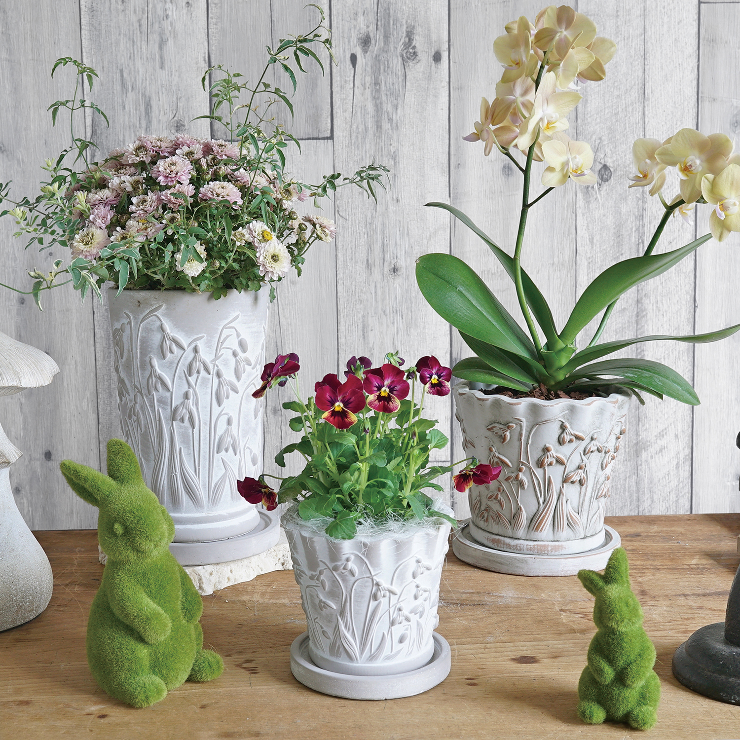 新作入荷　GR品番スノードロップシリーズ