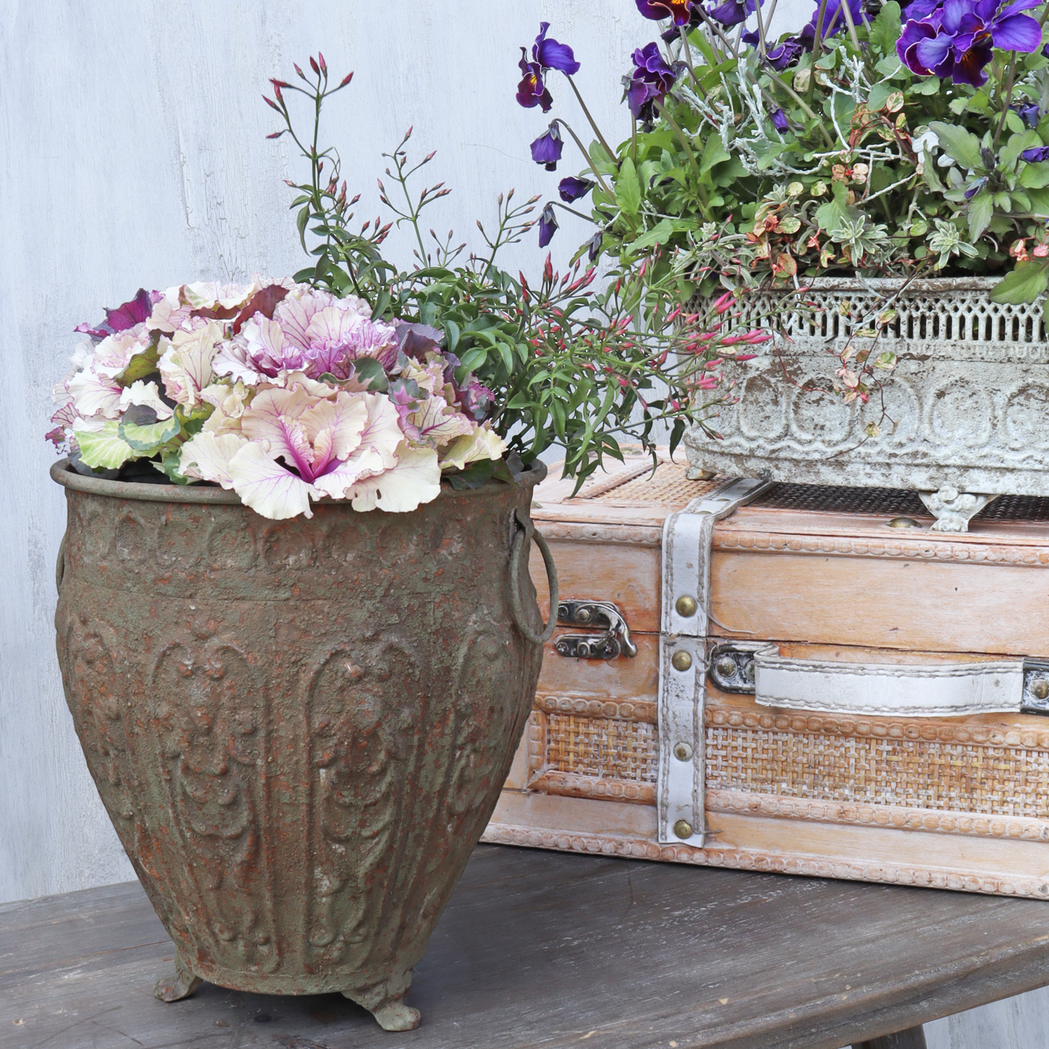 新作入荷　YG品番ジャンヌシリーズ