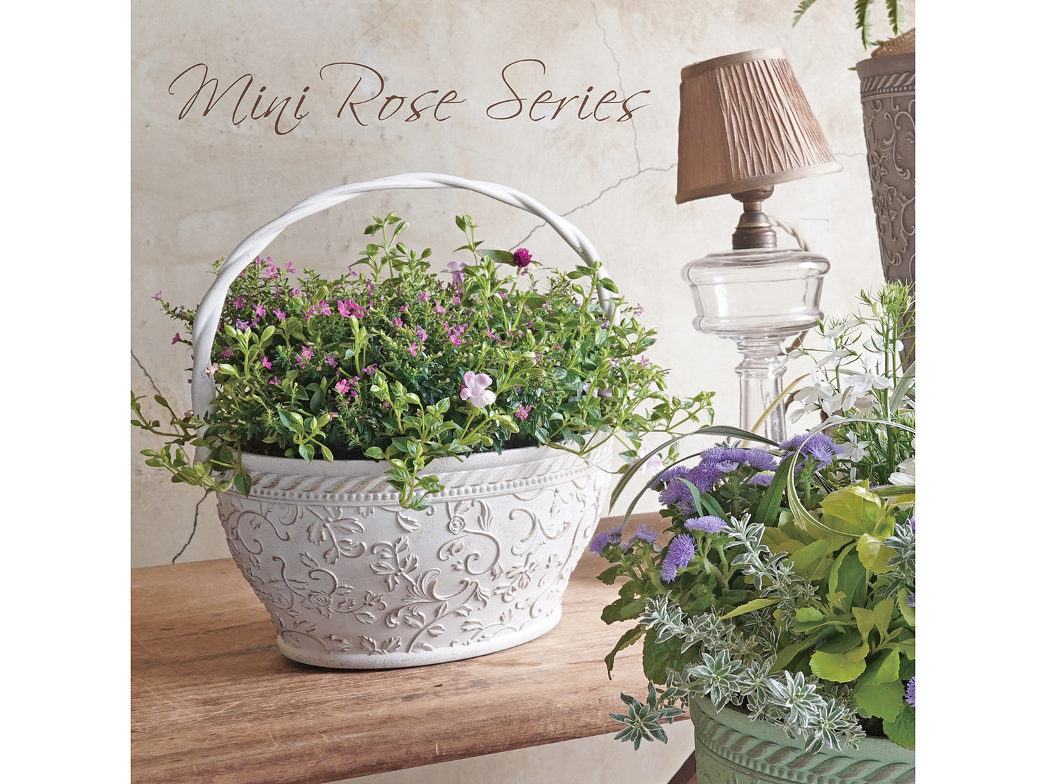 新作入荷　FC品番ミニローズシリーズ