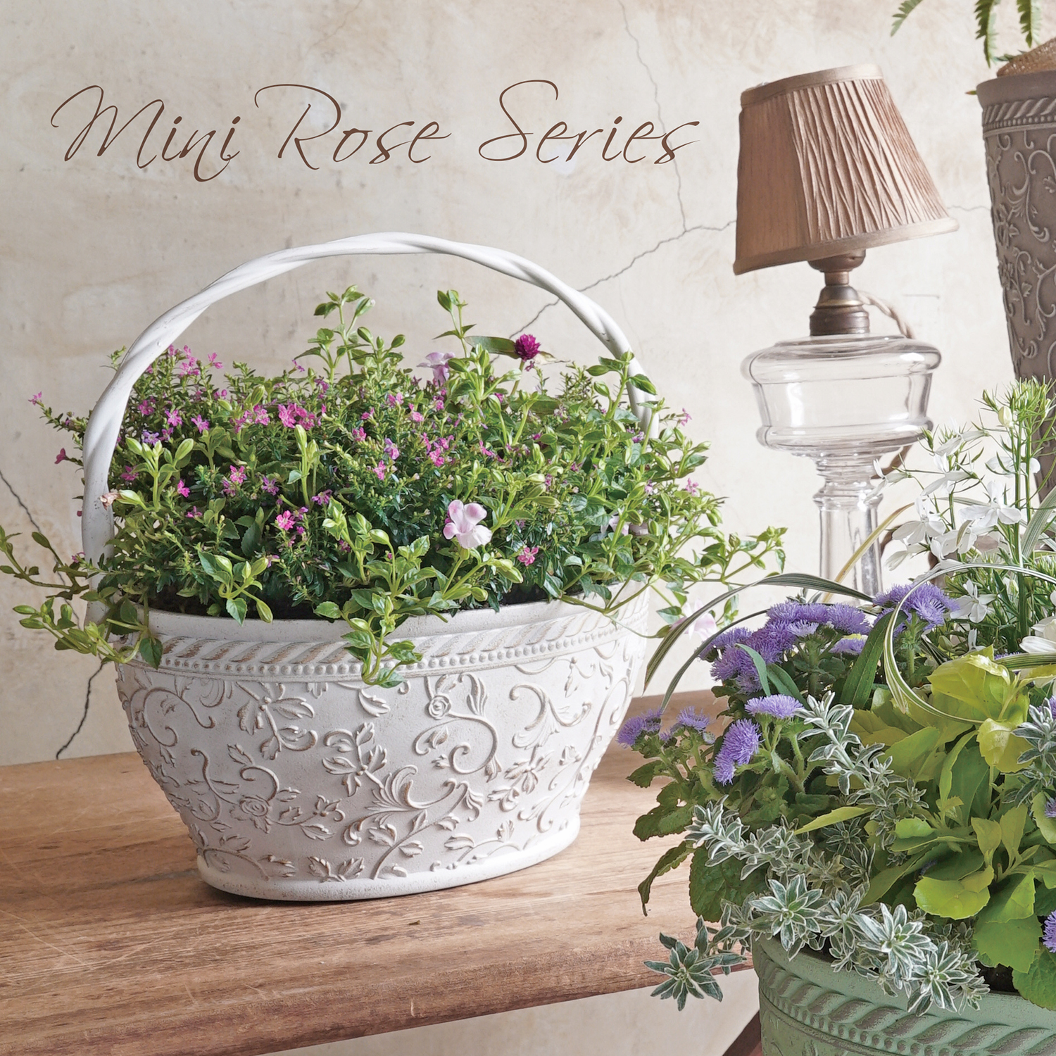 新作入荷　FC品番ミニローズシリーズ