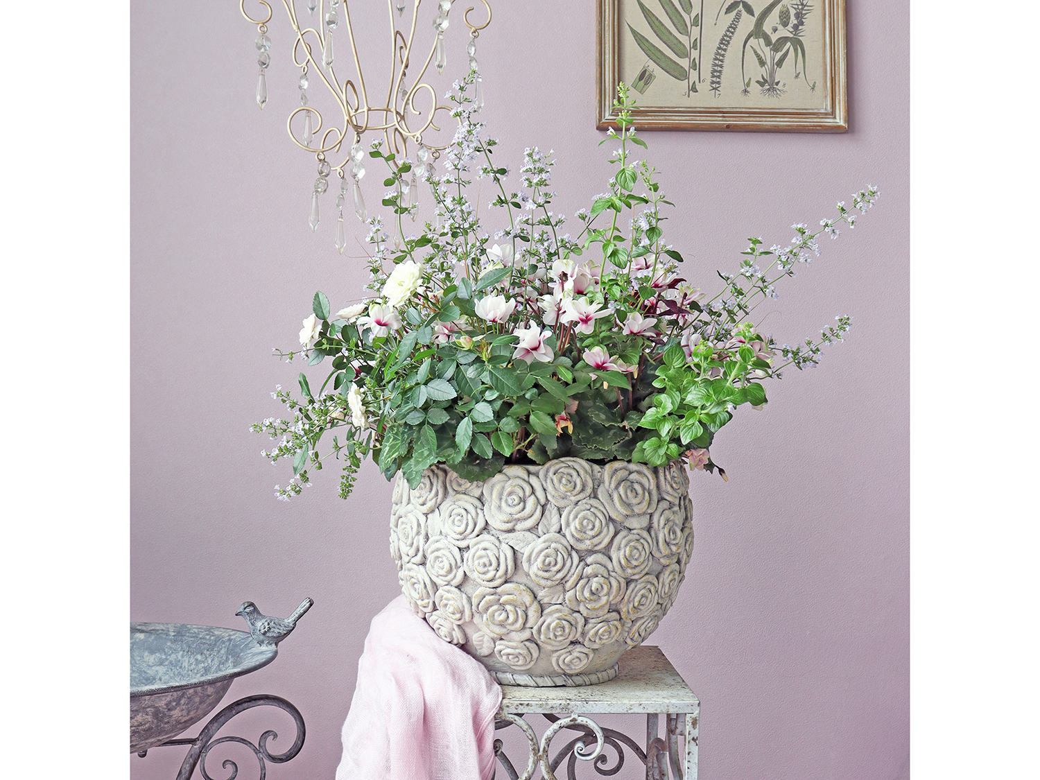 新作入荷　GFB品番オールドローズ/ゴブレット/...